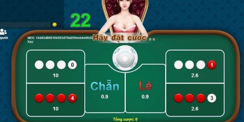 Cách chơi xóc đĩa luôn thắng bằng cách đọc bảng vị